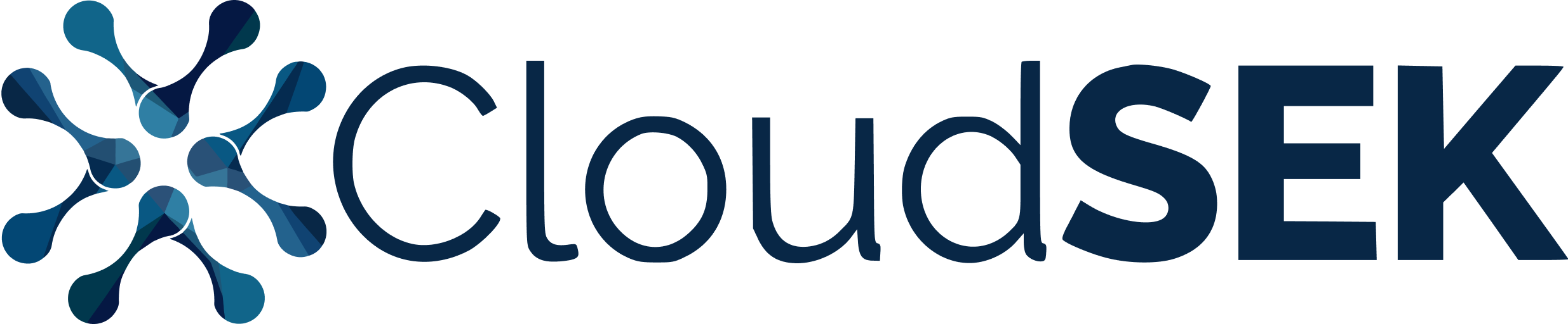 CloudSEK Logo